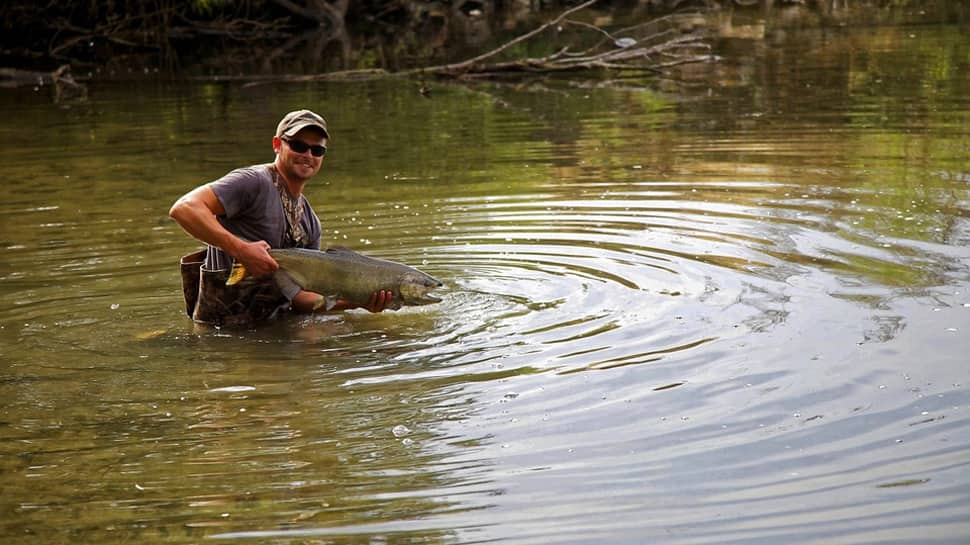 Viral video: Man catches fish, stumped to find snake attached—Watch