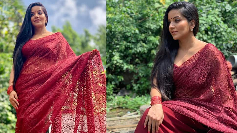 Monalisa flaunts her flawless beauty in a maroon net saree—Photos