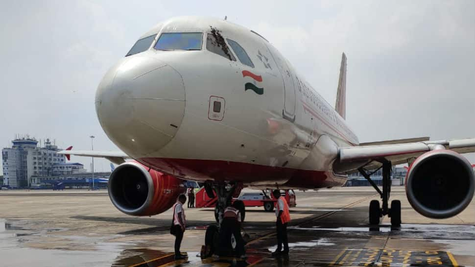 Air India plane aborts takeoff in Kolkata after swarm of bees descend on cockpit window