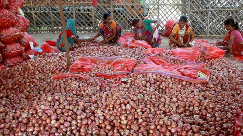 Government bans export of onions with immediate effect to curb rising prices