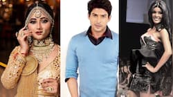 Bigg Boss 13: Here's everything you need to know about the contestants 