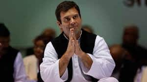 Rahul Gandhi goes to Bangkok as Congress faces tough battle in Maharashtra, Haryana polls: Sources