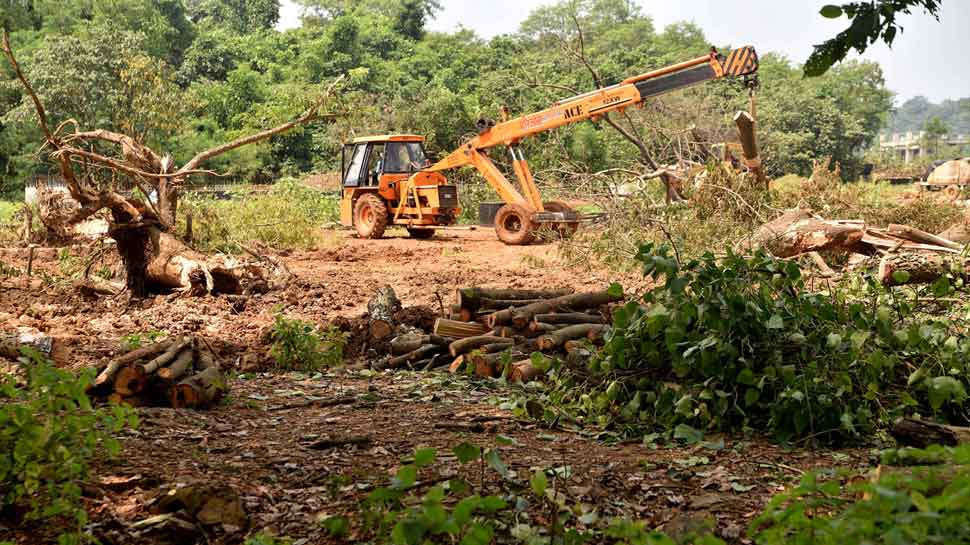 Will not cut any more trees in Aarey, we respect SC&#039;s decision: Mumbai metro authority