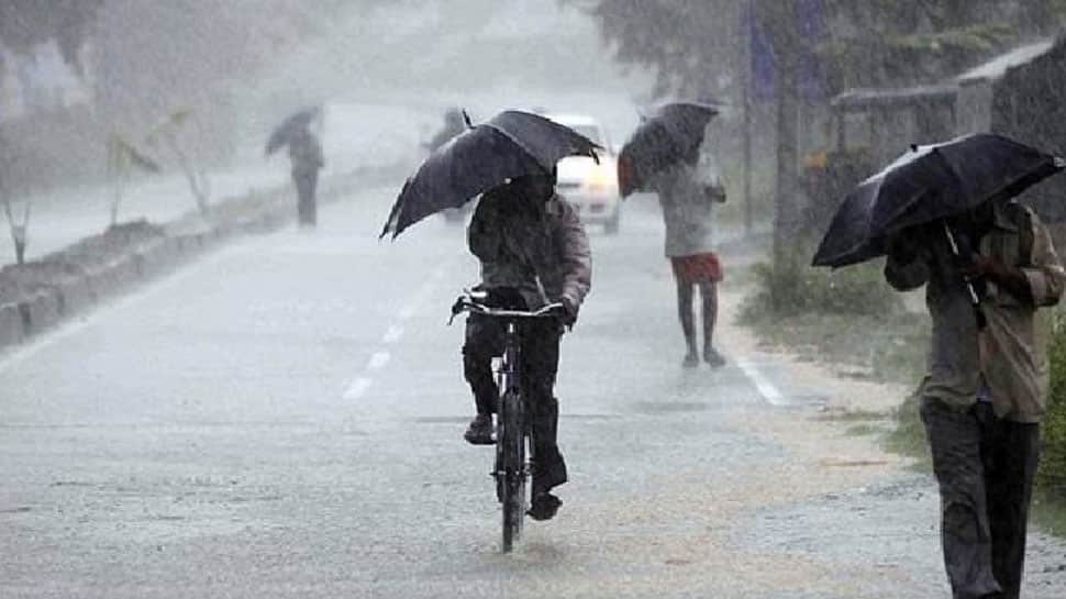 One dead, 50 trees uprooted as heavy rains wreak havoc in Pune