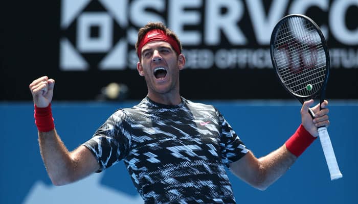 Juan Martin del Potro postpones return on medical ground