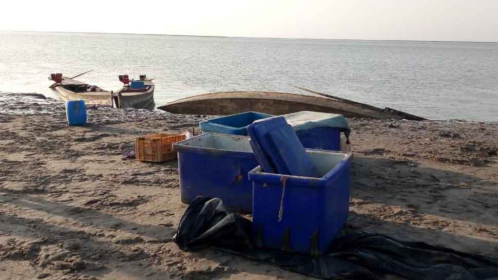 BSF seizes five Pakistani fishing boats from Gujarat&#039;s Harami Nullah