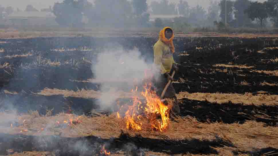 Farmers in Punjab&#039;s Amritsar continue to burn stubble despite ban