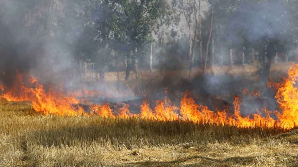 Stubble burning: NGT seeks Action Taken Report from Uttar Pradesh, Haryana, Punjab