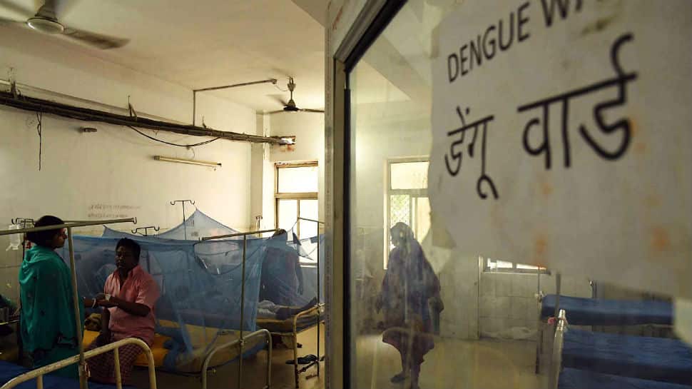 Dengue scare in Bihar after devastating floods; 1,923 cases reported so far, 1,410 alone in Patna