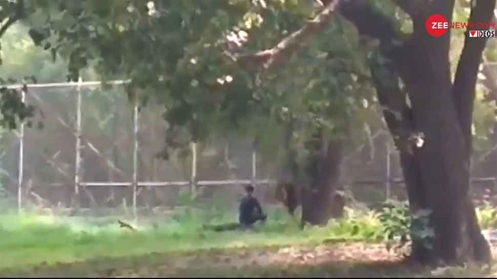Mentally unstable man jumps into lion&#039;s enclosure in Delhi zoo, rescued by security personnel- Watch video