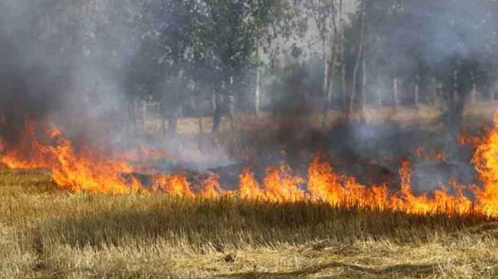 Aam Adami Party leaders slam Center for not taking stern action against stubble burning in Punjab and Haryana 