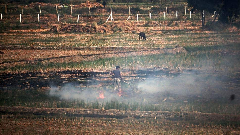 Haryana: Over 100 cases of stubble burning reported in Sirsa