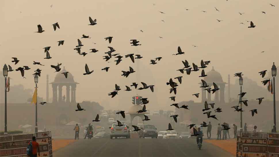 Air pollution in Delhi-NCR remains in severe-plus category; AQI in Hisar reaches 804