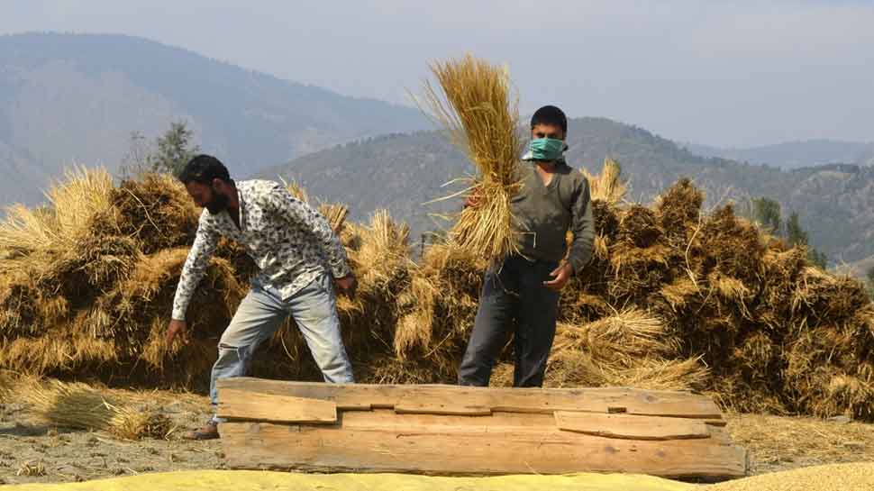 Punjab, Haryana farmers caught in vicious time-cycle web