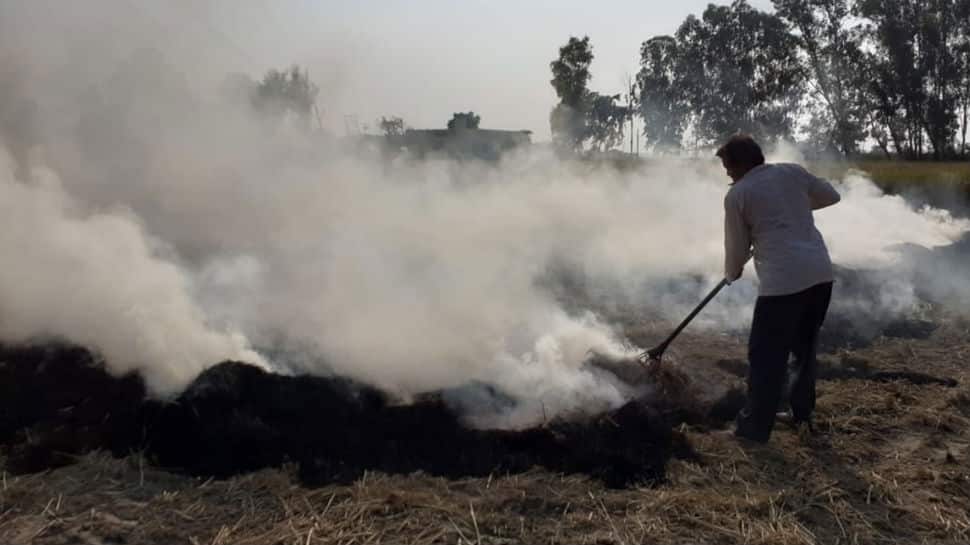 Ludhiana intensifies drive against stubble burning, 22 farmers arrested