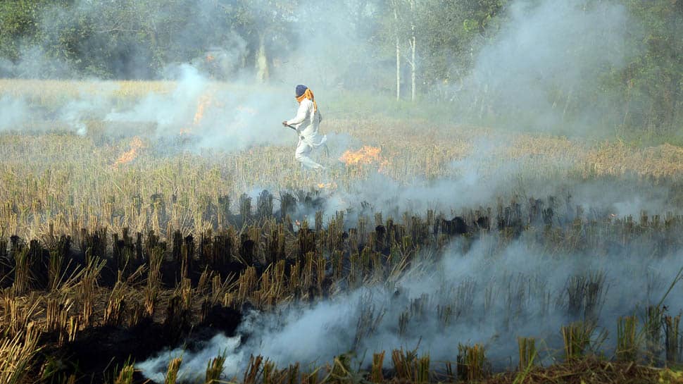 As Delhi battles air pollution, SC slams Punjab govt for failing to tackle stubble burning