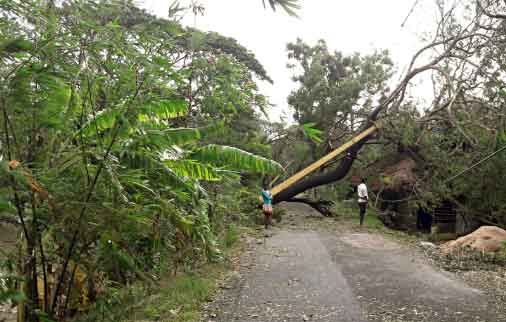 IMD: Cyclone Bulbul will weaken into depression during next 12 hours 