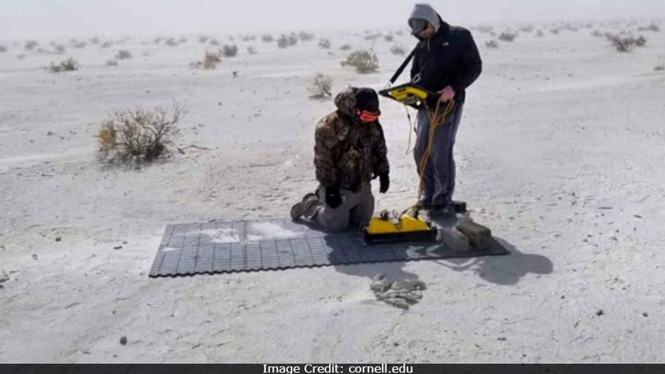 &#039;Ghost&#039; footprints hiding since end of Ice Age found