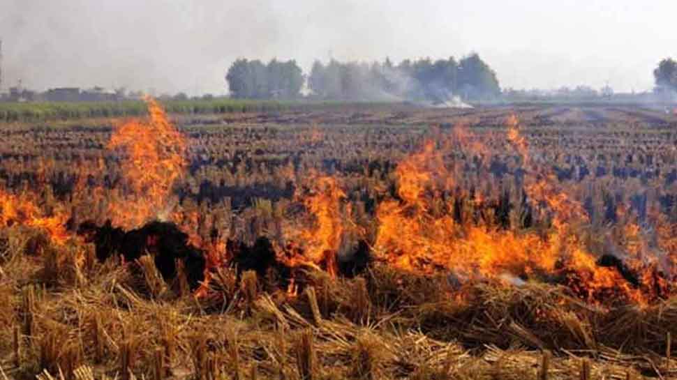 189 farmers penalised in Haryana for stubble burning