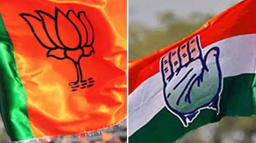 Congress sweeps Rajasthan municipal election, wins 23 local bodies, BJP gets 6