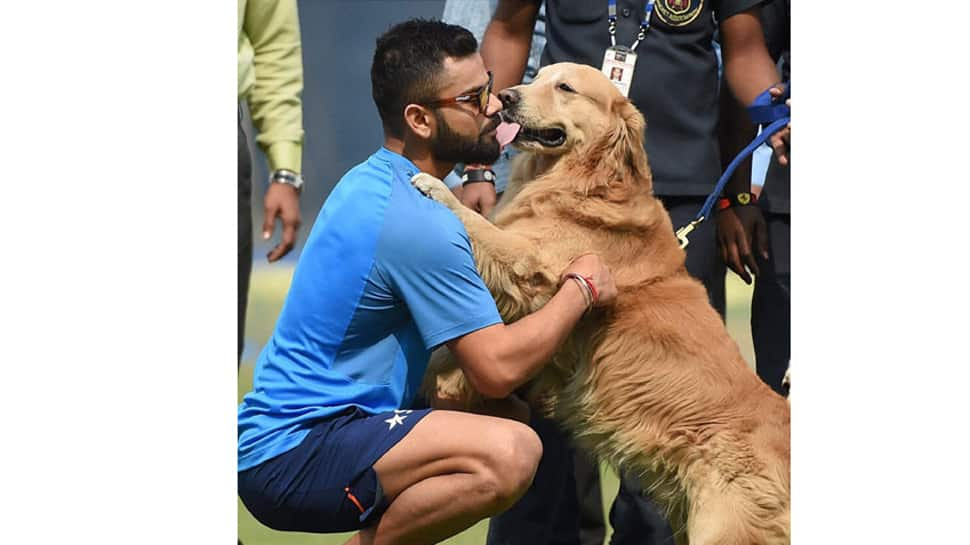 Virat Kohli named  PETA India&#039;s 2019 Person of the Year 