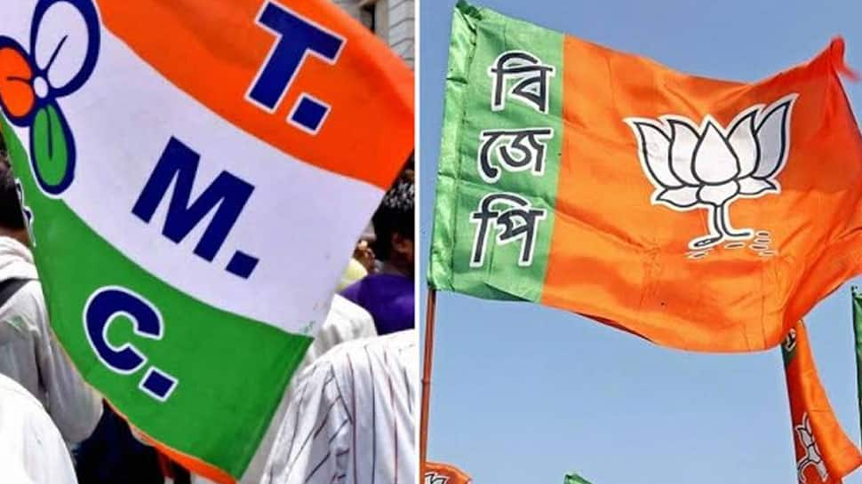 West Bengal byelections register over 75% polling; BJP candidate roughed up 