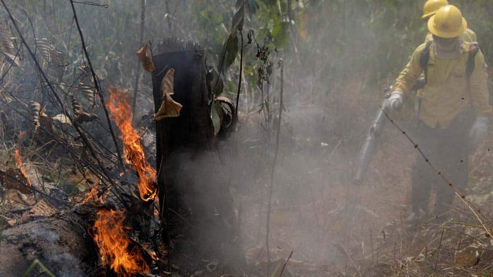 Amazon fires may enhance glacier melting: Study