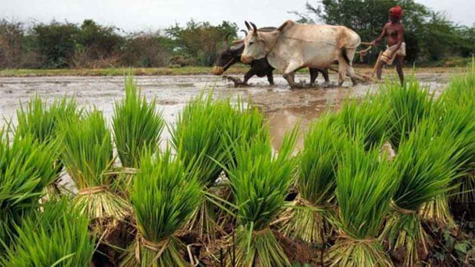 Punjab Investors Summit to focus on agriculture modernisation