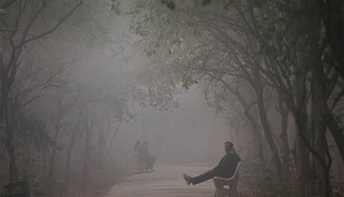 Cold wave grips North India, temperature drops to zero degree in Rajasthan&#039;s Sikar