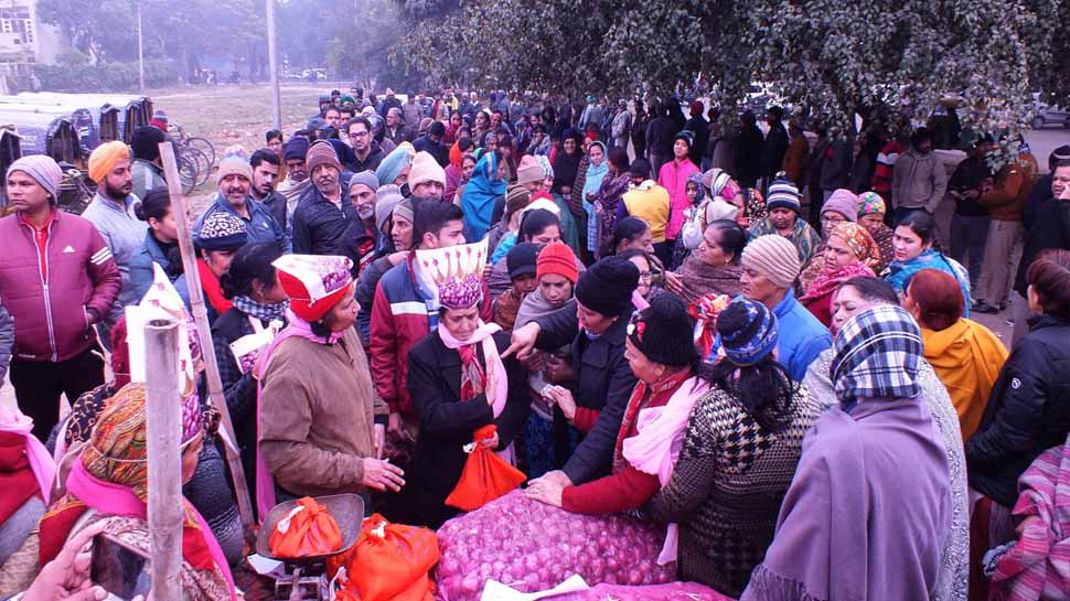 Onions for Rs 65 a kilo in Chandigarh! 800 kilos sold in four hours