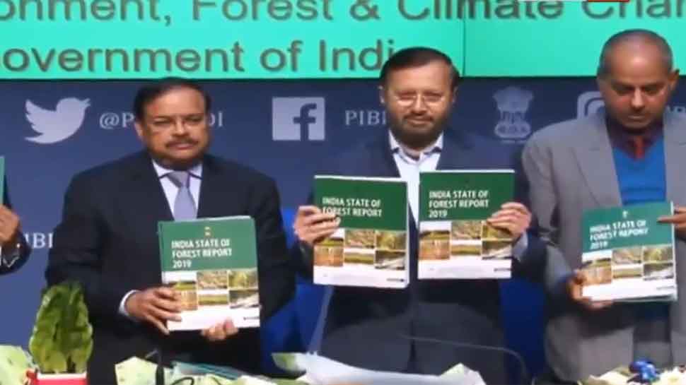 India&#039;s forest cover up 5,188 sq km in 1 year, says Union Minister of Environment Prakash Javadekar   
