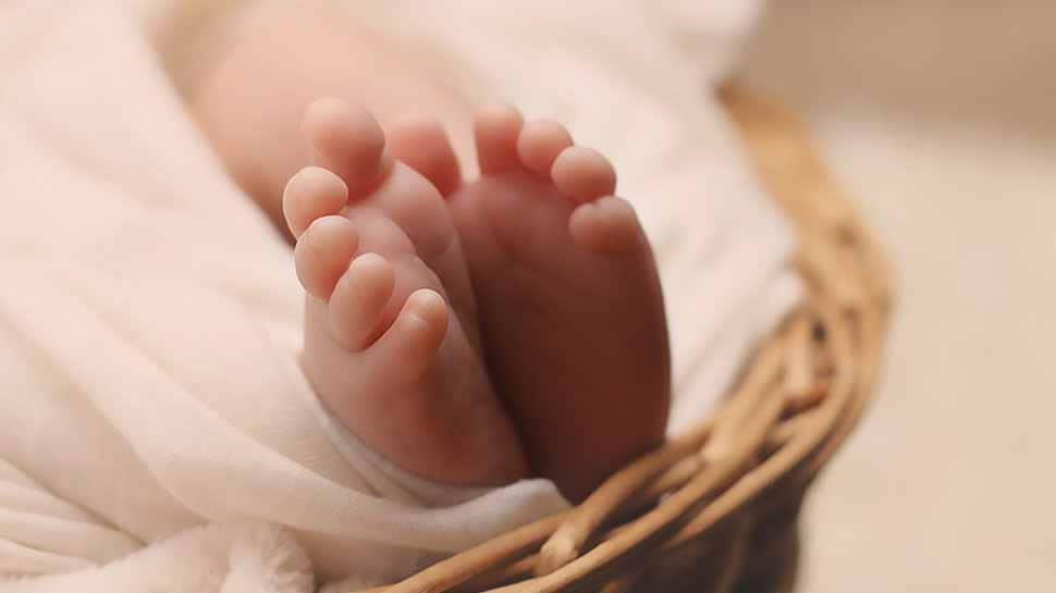 Kota infant death toll reaches 91; NCPCR says broken glass windows, pigs roaming inside hospital premises