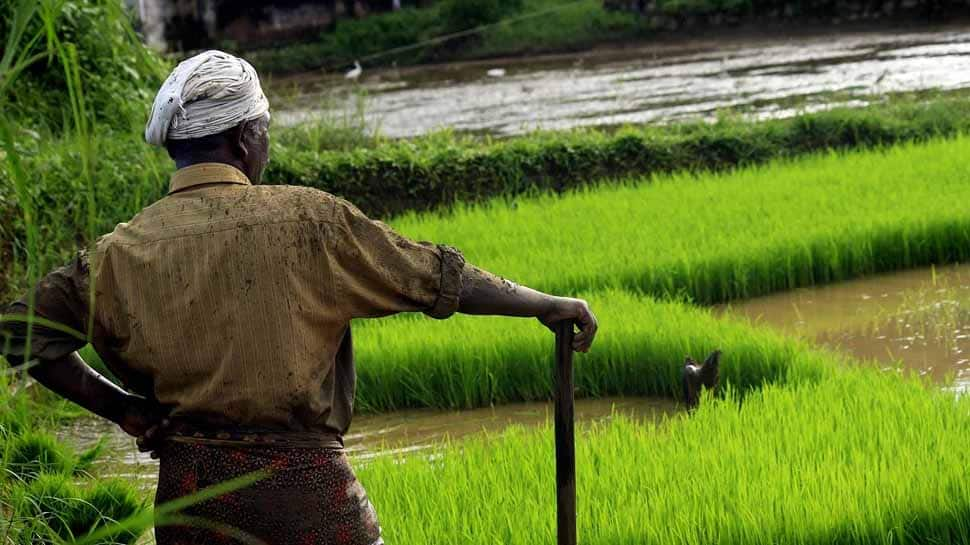 Maharashtra records 300 farmers&#039; suicides in November 2019