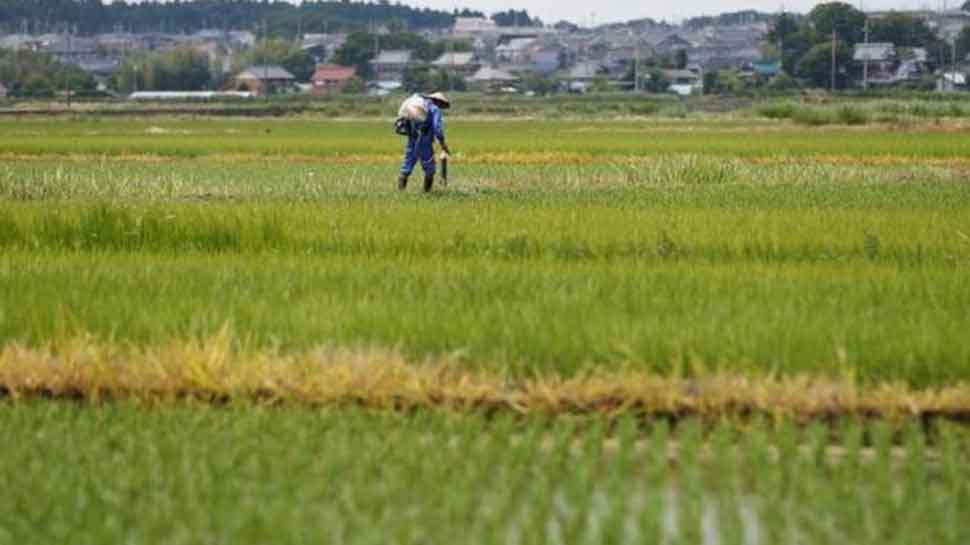 Haryana approves 212 schemes of around Rs 201 crore to protect agriculture land