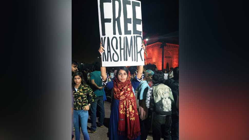 Watch: Girl holding &#039;Free Kashmir&#039; poster at Gateway of India clarifies, apologises for creating stir