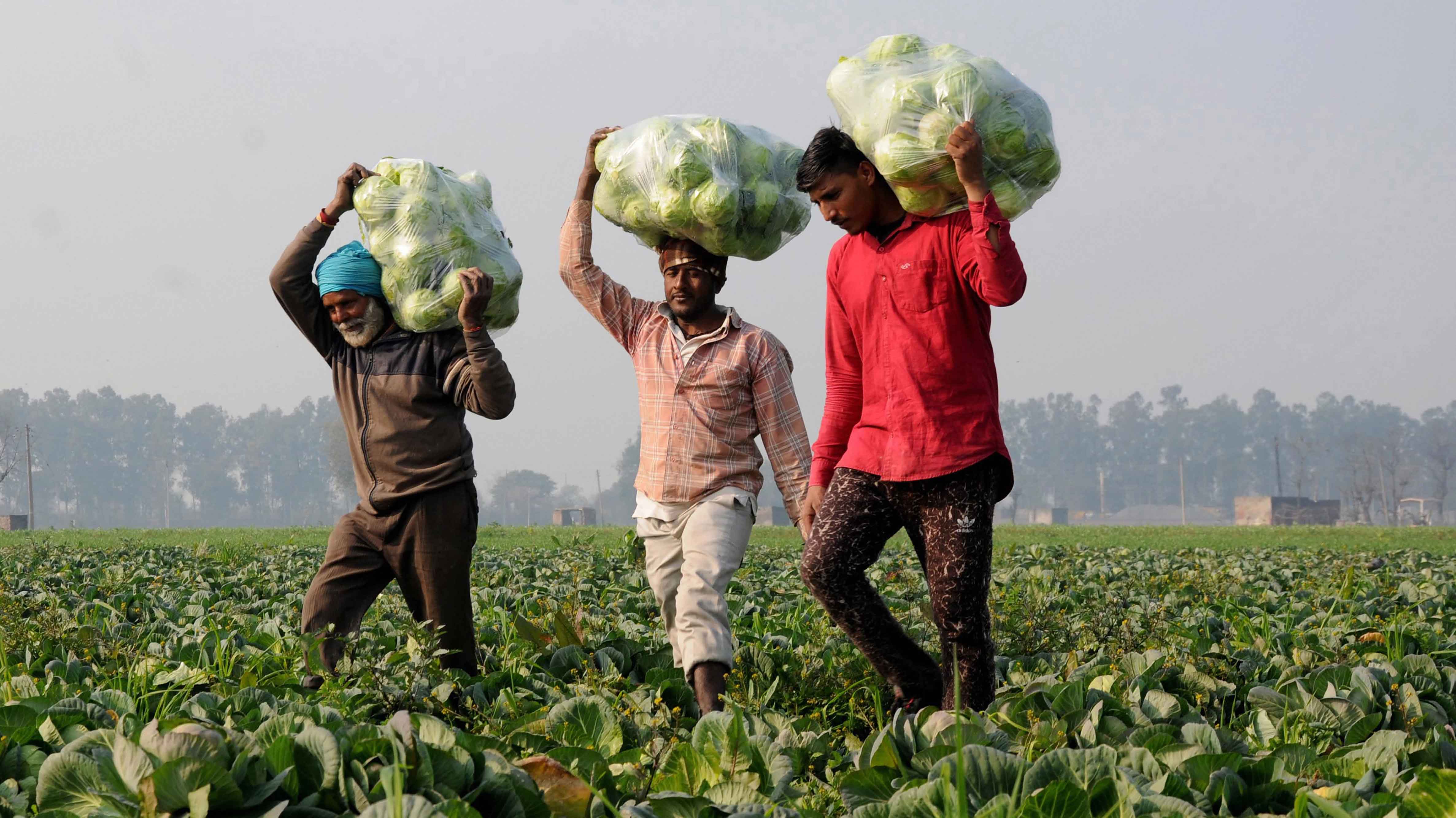 &quot;Over 5 cr farmers yet to get 3rd instalment of PM-Kisan scheme&quot; : Govt data