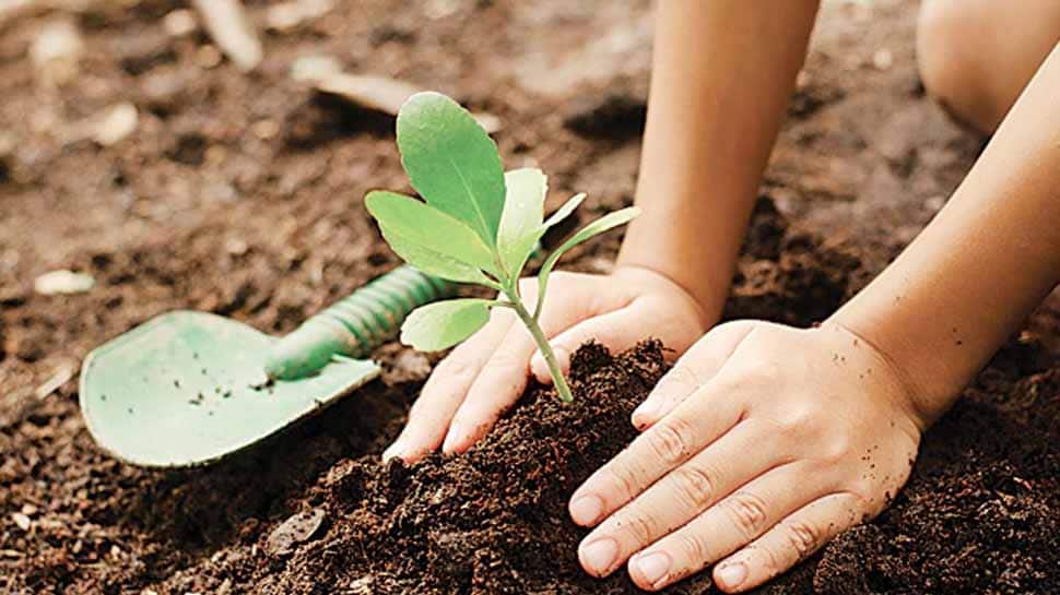 Bihar govt launches &#039;Pyaar ka Paudha&#039; campaign to encourage practice of planting trees