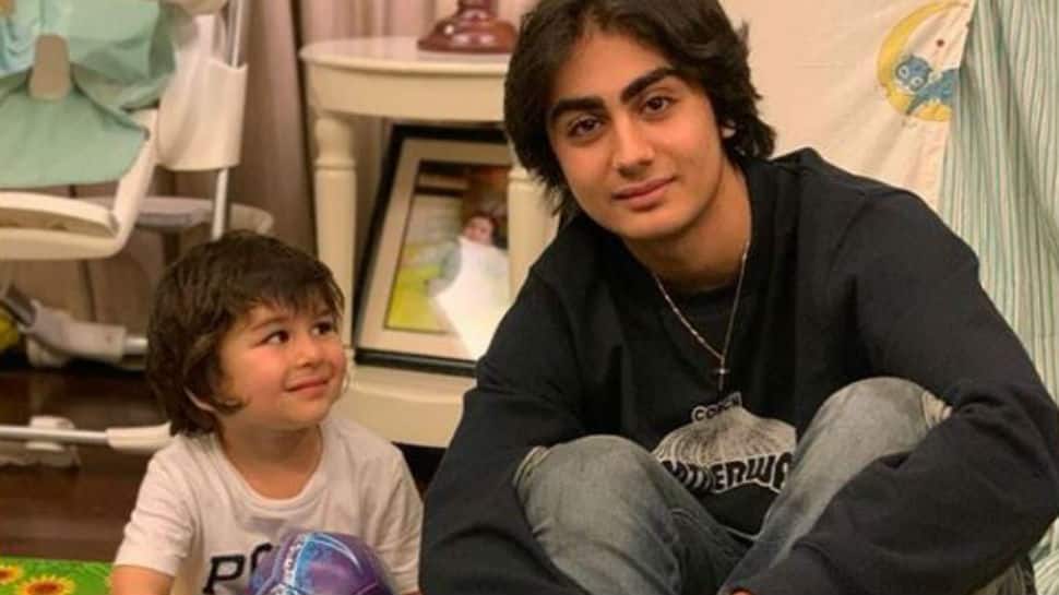 Taimur Ali Khan&#039;s adorable pic with Malaika Arora&#039;s son Arhaan Khan delights the internet