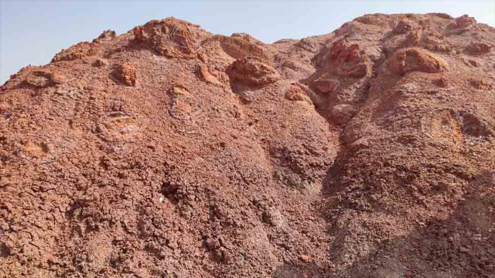 Mineral found on surface of Mars discovered at Ashapura temple in Kutch: Scientists