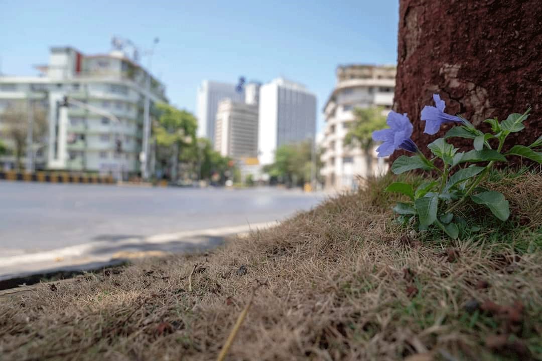 Deserted roads in Mumbai amid lockdown 