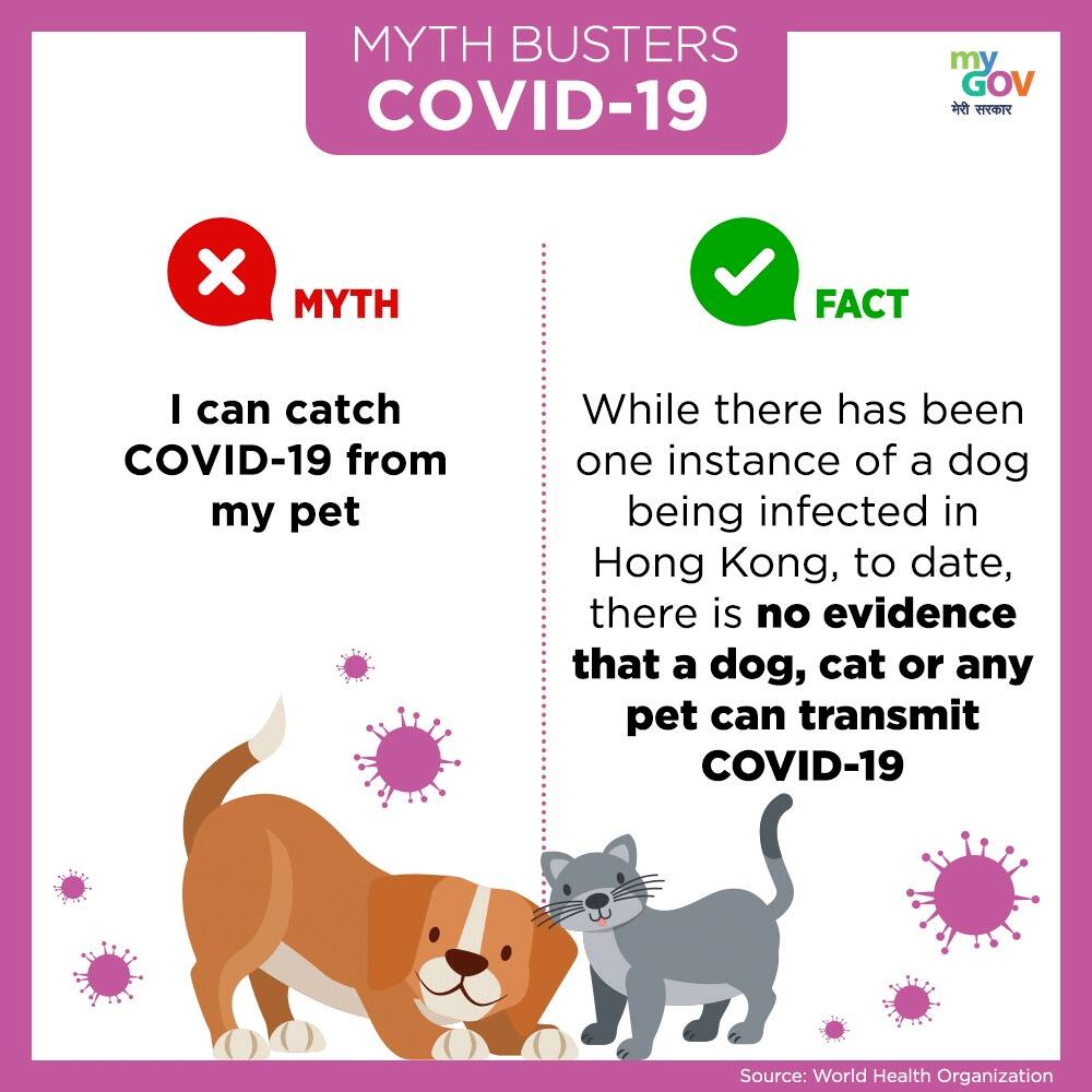 No evidence of Pets catching COVID-19 yet 