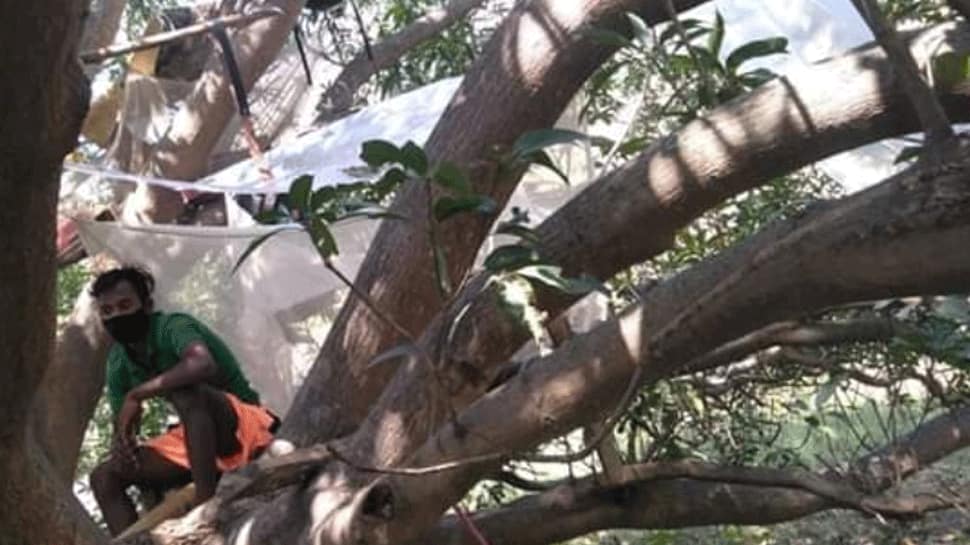 West Bengal&#039;s migrant workers who traveled back from Chennai quarantine themselves on tree branches