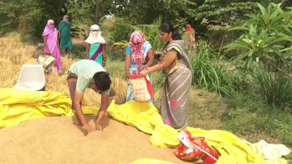 Nashik farmer donates wheat produced from 1 acre land to people suffering from coronavirus COVID-19 outbreak