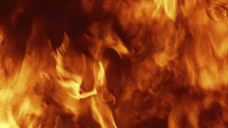 Fire erupts in forest near Srisailam temple in Andhra Pradesh