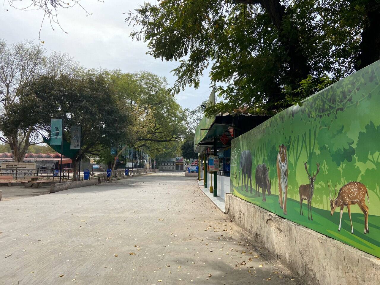 Delhi zoo during lockdown