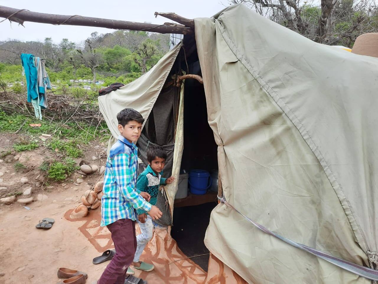 Bakarwal nomads during lockdown in Jammu