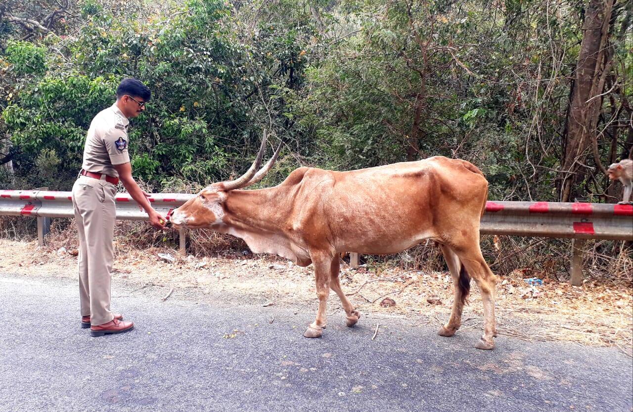 Cops feeding animals during lockdown in roads of Andhra Pradesh