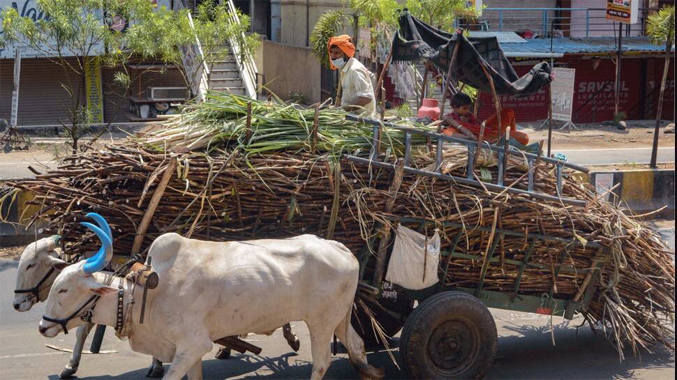 Maharashtra coronavirus cases cross 1,000-mark with 150 fresh cases, Mumbai worst-hit