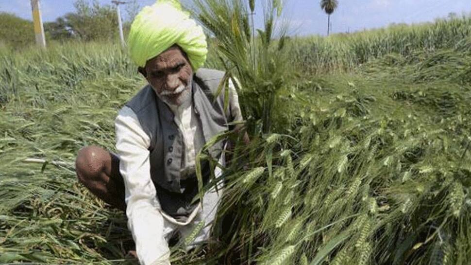 Over 200 Gujarat farmers give Rs 2,000 each to PM CARES fund