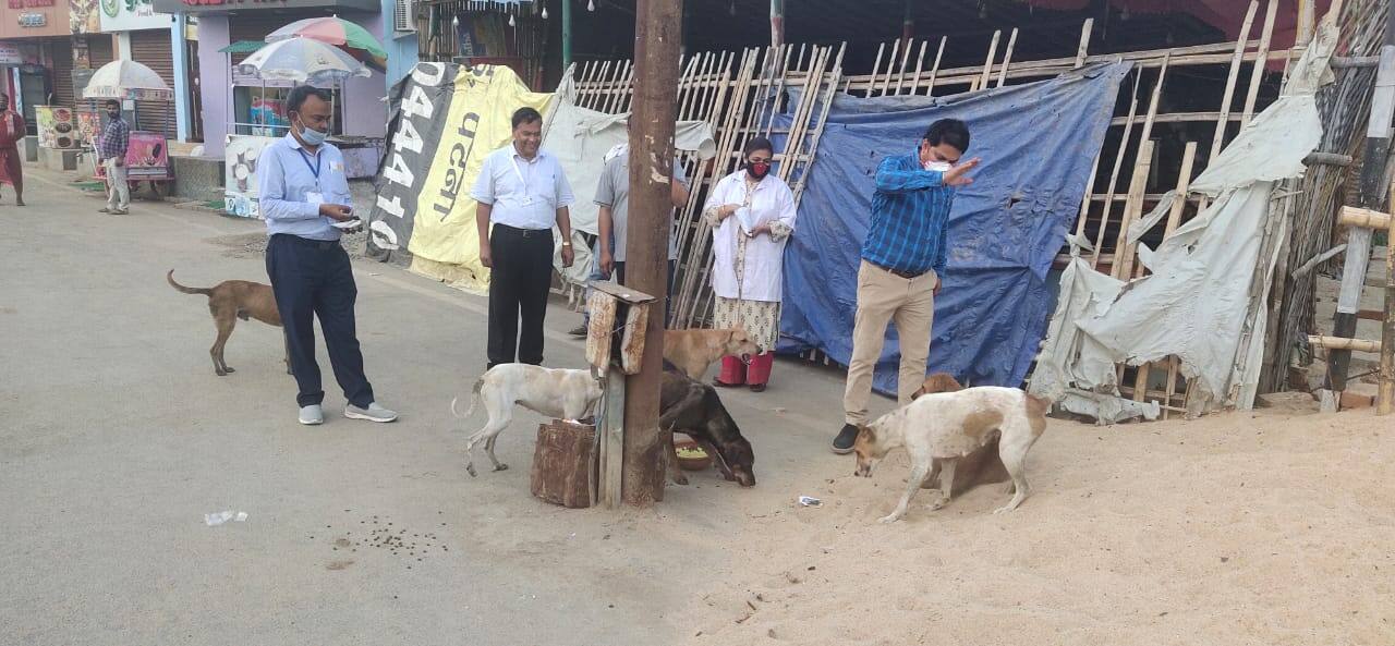 Veterinary doctors feeding food to street dogs during lockdown in Patna